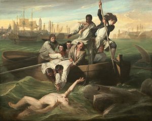 Watson et le requin